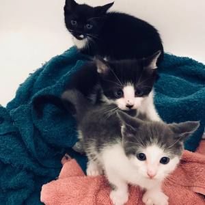 Meet your Posher, Brooke